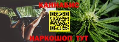 прущие грибы Наро-Фоминск